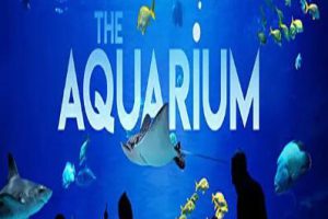 纪录片《水族馆 The Aquarium》[1080P][第二季共9集 英语中字][百度网盘]