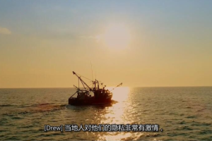 纪录片《大白鲨焦点》[1080P][第一季共2集 英语中字][百度网盘]
