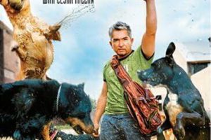纪录片《狗语者/报告狗班长 Dog Whisperer with Cesar Millan》[1080P][第一季共26集 英语中字][百度网盘]