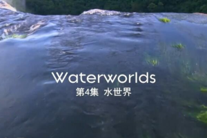 纪录片《探秘自然界/自然的运作》[1080P][4集 原声配音中文字幕][百度网盘]