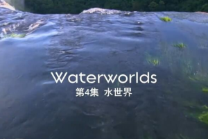 纪录片《探秘自然界/自然的运作》[1080P][4集 原声配音中文字幕][百度网盘]