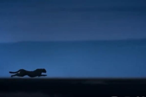 纪录片《地球的夜晚:夜中取景》[1080P][1集 原声配音中英字幕][百度网盘]