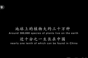纪录片《影响世界的中国植物 2019》[1080P][10集 国语配音中文字幕][百度网盘]