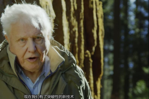 纪录片《绿色星球》[1080P][第一季共5集 原声中字][百度网盘]