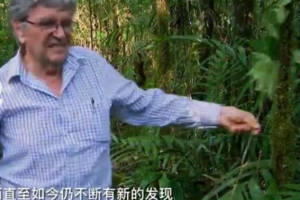 纪录片《行为恶劣的植物/植物的秘密武器][2集 原声配音中英双字][百度网盘]