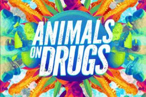 纪录片《要是动物嗑了药 Animals on Drugs》[1080P][第1季共3集 英语中字][百度网盘]
