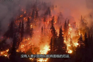 纪录片《末日实录》[1080P][第一季共8集 英语中字][百度网盘]