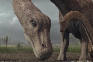 纪录片《恐龙星球 Planet Dinosaur》[1080P][第一季全6集 原声配音中英双字][百度网盘]