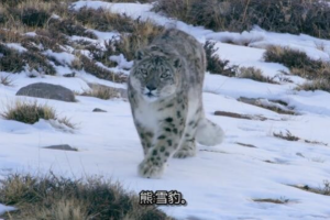 纪录片《水深火热的星球》[1080P][第一季共6集  英语中字][百度网盘]