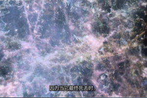 纪录片《了解宇宙是如何运行的/宇宙有道理》[1080P][第五季共8集  英语中字][百度网盘]