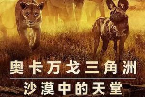 Netflix纪录片《幸存的天堂》高清1080P内嵌中字百度云网盘下载[MP4/2.10GB]