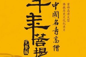 纪录片《千年菩提路DVD版》全45集普清国语中字百度云网盘下载[MP4/5.89GB]