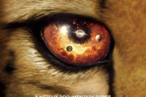 纪录片《我们的浩瀚宇宙/我们的宇宙 Our Universe》[1080P][第一季共6集 英语中字][百度网盘]