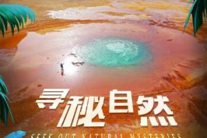 纪录片《寻秘自然 Seek Out Natural Mysteries》[1080P][4集 英语中字][百度网盘]