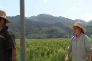 纪录片《天降》[1080P][张赞波作品 国语配音中英双字][百度网盘]