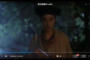 王祖贤电影作品52部高清百度云网盘下载[118.50GB]