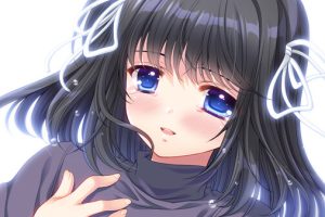 《繁花落舞恋如樱 Re：BIRTH》[官方中文][NSZ][原版]