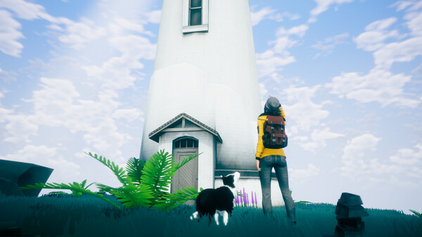 -11 -11