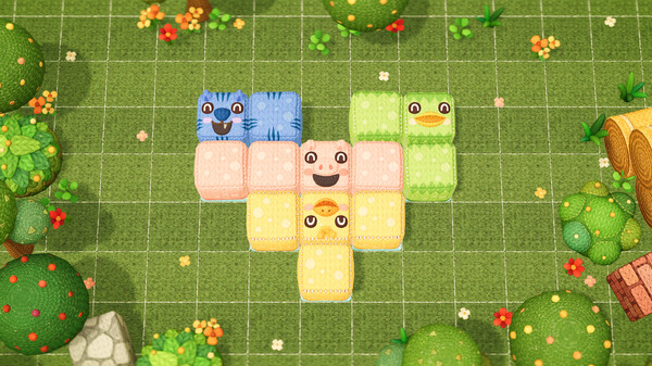 -5 -5