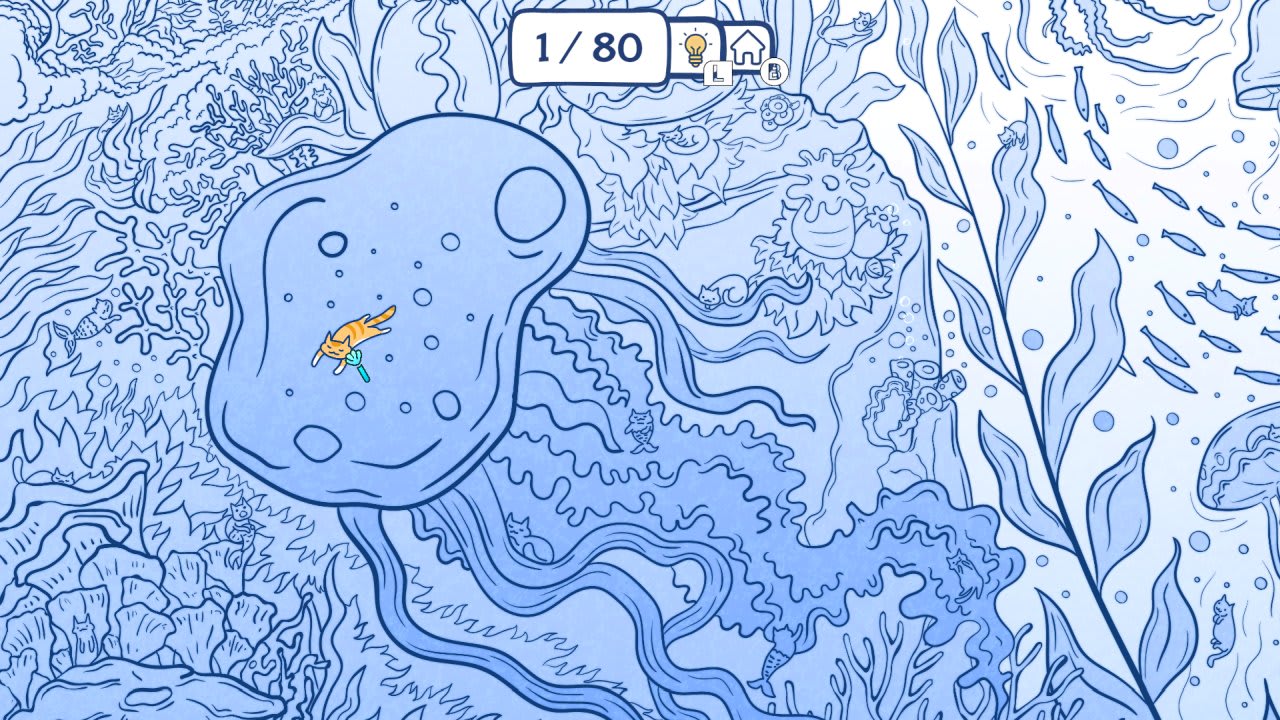 -5 -5