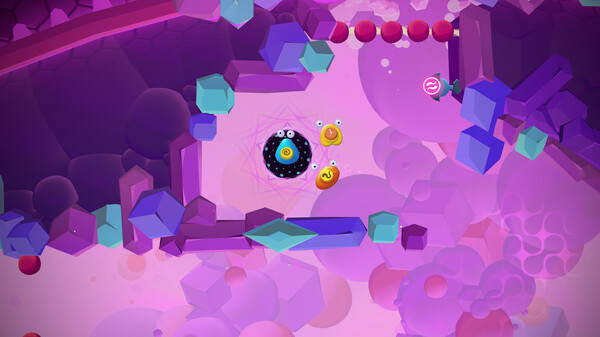 -5 -5