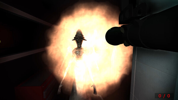 -5 -5