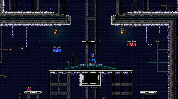 -8 -8