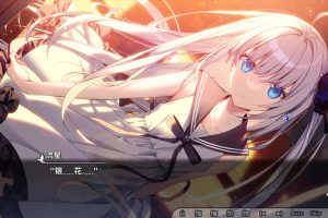 《银花/GINKA》[官方中文][XCI][原版]