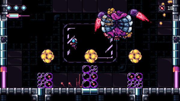 -4 -4