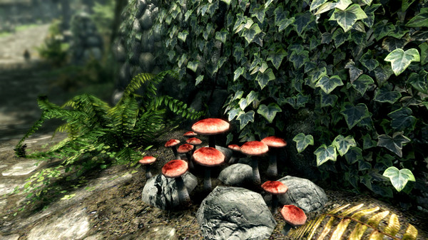 -7 -7