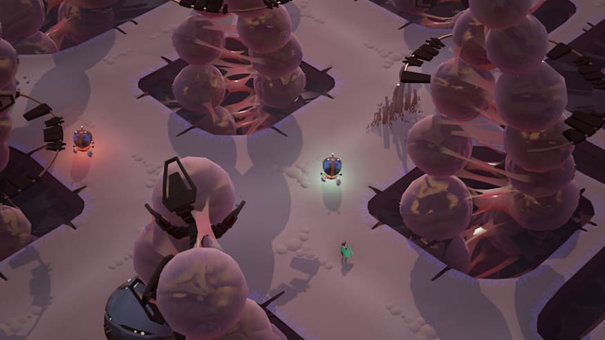 -4 -4